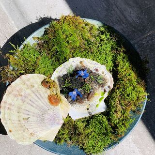 L'Essence - 7