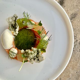 Wachter Foodbar - 6
