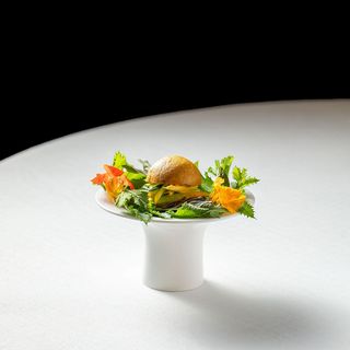 Barbagianni - 7