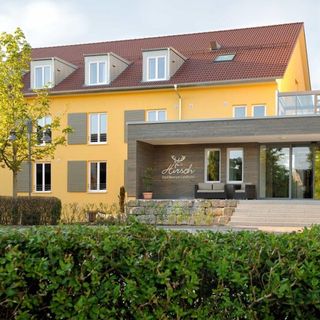 Hirsch - Ellwangen - 6