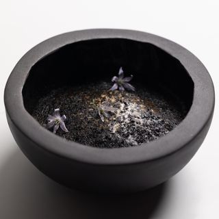 Maní - 5