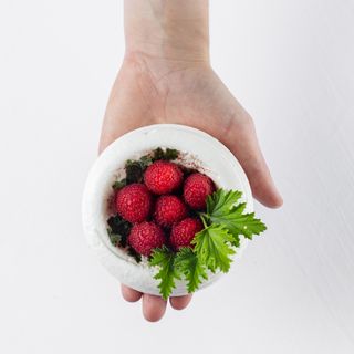 Les Frères Ibarboure - 7