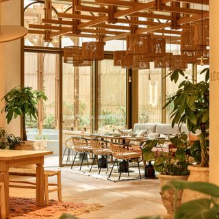Bloom Garden - 3