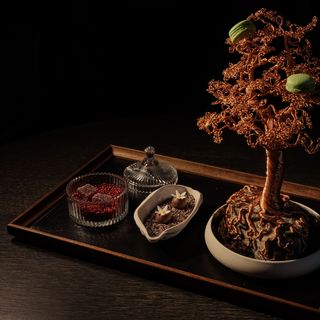 Enigma Yorkville - 7