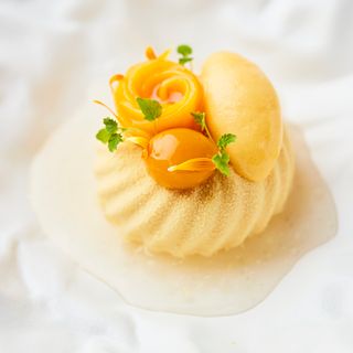 Cord by Le Cordon Bleu - 12