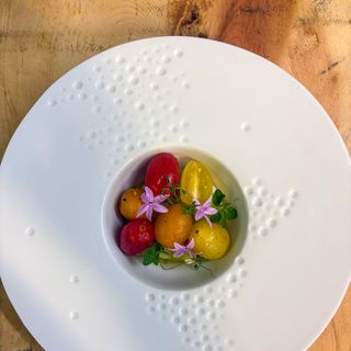 L'Artémisia - 3