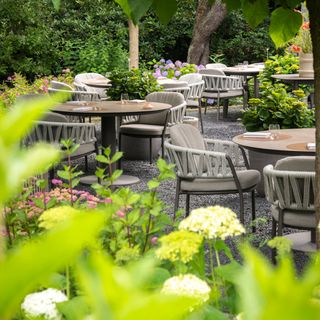 Restaurant Bomas - 1