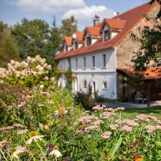 Villa Greta - 8