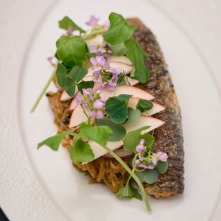 Restaurant Palægade - 8