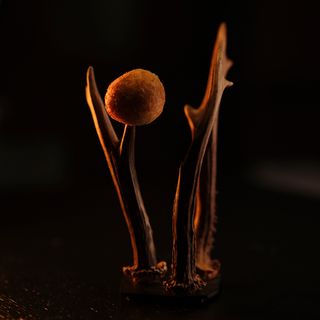 TaBar - 3