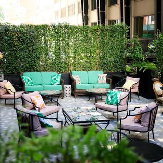 Dauphine's - 4