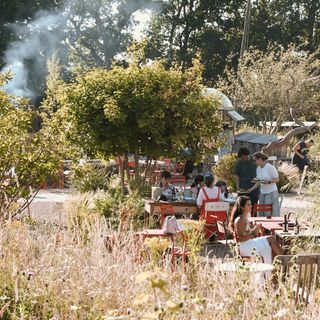 Knepp Wilding Kitchen - 2