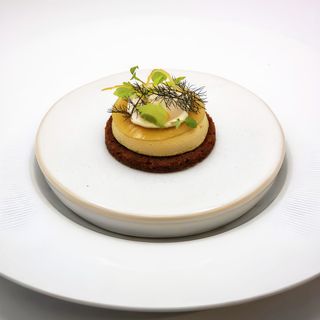The Elderflower - 11