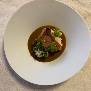 L'Artémisia - 4
