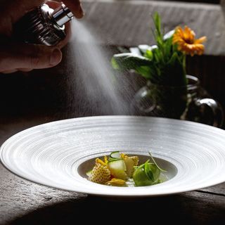 The Tudor Pass - 6