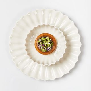 Geranium - 4