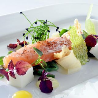 Hopmanns Olive - 3