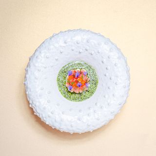 Cattaleya - 5