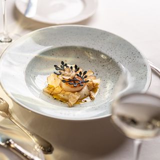 Delicja - Poznan - 0