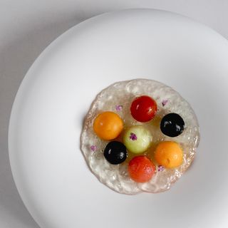misola - 2