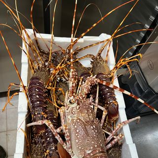 Tiffany Bistrot di Mare - 3