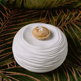 Vinha - 1