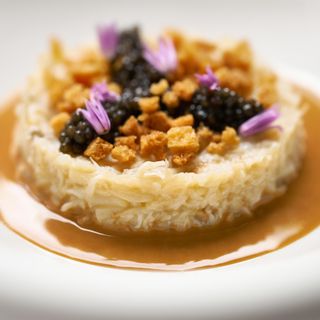 Amicis - 5