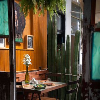 Teocintle-Tika'aya - 7