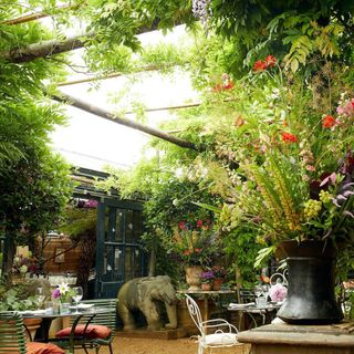 Petersham Nurseries Restaurant - 7