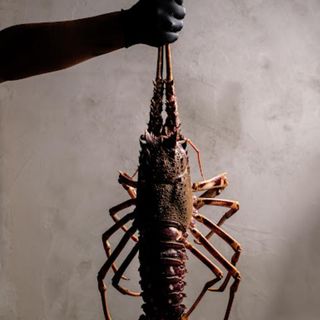 Abarike - 9