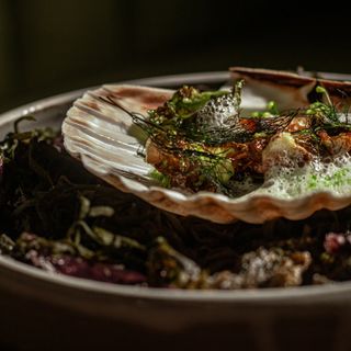 Magma - Paris - 11