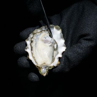 Fanny Bay Oyster Bar - 22