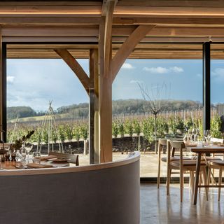 Hambledon Vineyard - 8