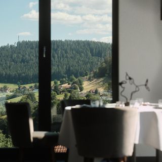 Schwarzwaldstube - 8