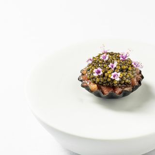 Jordnær - 28