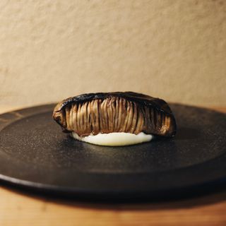 Nebuka - 1