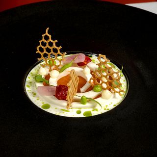 ROOP Chicago - 7