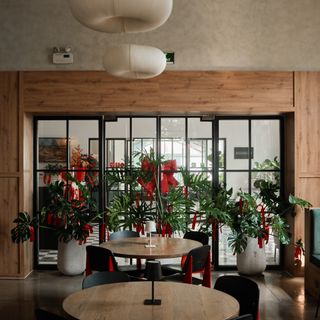 Apero - 5