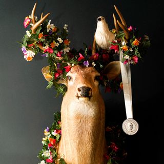 The Deer and the Dove - 7