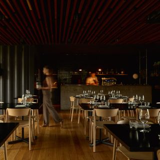 Little Wolf Osteria - 3