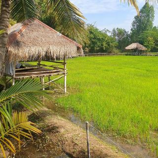 Sookjai Land - 2