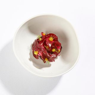 Imàgo - 16