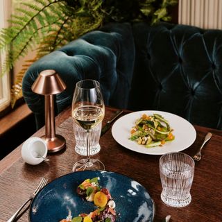 Samphire - 12