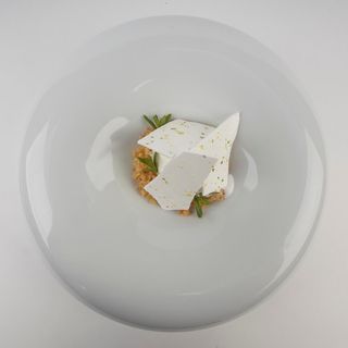 Suite 22 - 4