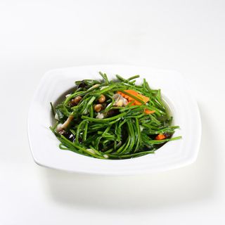Master of Mushroom (Xinshe) - 10