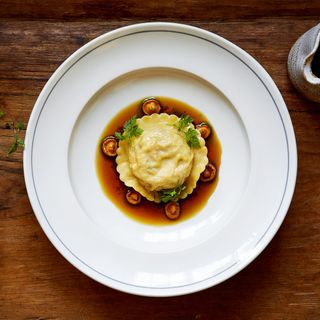 The Wild Rabbit - 7