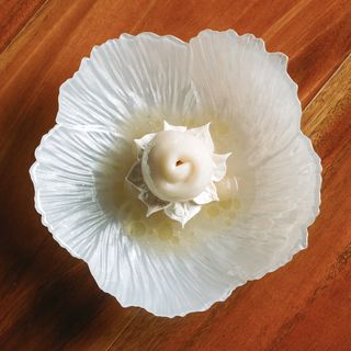 Kása Palma - 27