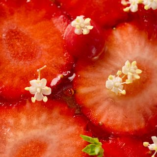 Guillaume Scheer - Les Plaisirs Gourmands - 5