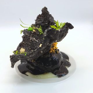 Javier Montero - 5