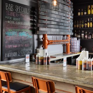 The Bearded Pig - 7